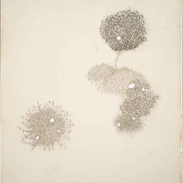 Les jardins consumés I