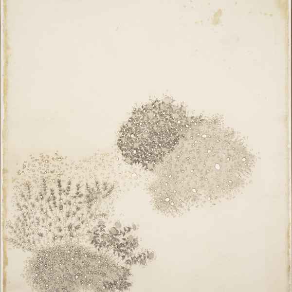 Les jardins consumés III