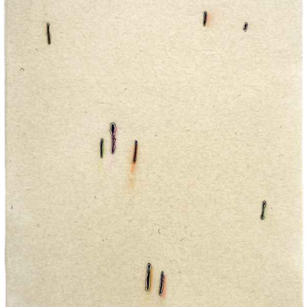 Pyrographie 7.IV.2017-5