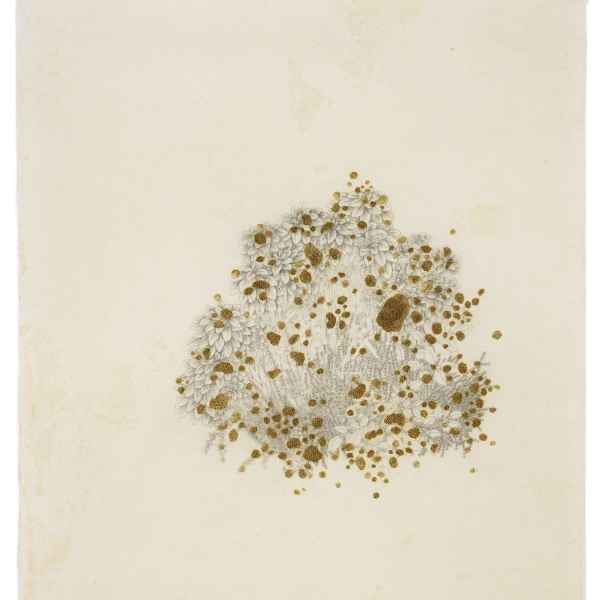 Jardins consumés 08.VIII.2019