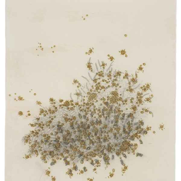 Jardins consumés 18.VIII.2019